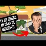 Ley Infonavit ➡️ Todo Lo Que Debes Saber